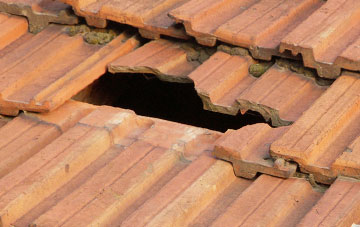 roof repair Beesands, Devon