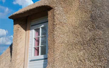 Beesands thatch roof disadvantages